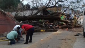 Daños Lluvias Oaxaca 2